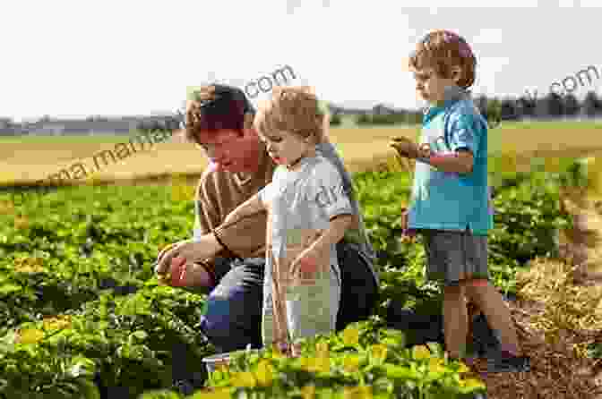 Father And Son Working On A Farm The Return (Pulitzer Prize Winner): Fathers Sons And The Land In Between
