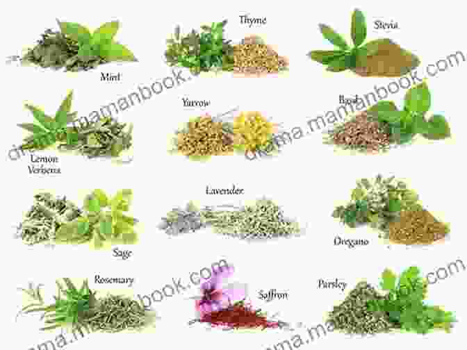 Image Of A Variety Of Medicinal Herbs MENOPAUSE: Natural Remedies And Methods Of Coping That You Need To Know (natural Cures Supplements Daily Practices Women S Health)