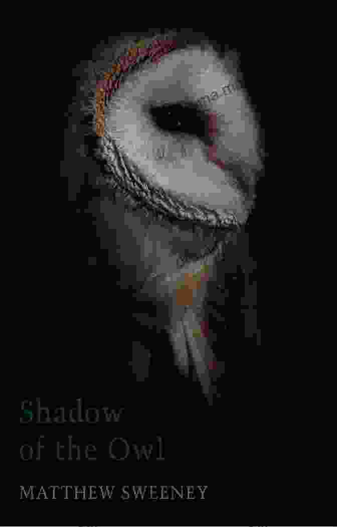 Shadow Of The Owl By Matthew Sweeney Shadow Of The Owl Matthew Sweeney