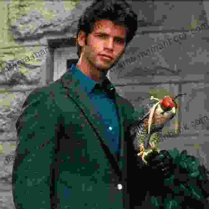 Terry Reilly, Played By Lorenzo Lamas, In Falcon Crest The Falcon Terry O Reilly