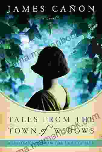 Tales From The Town Of Widows: A Novel