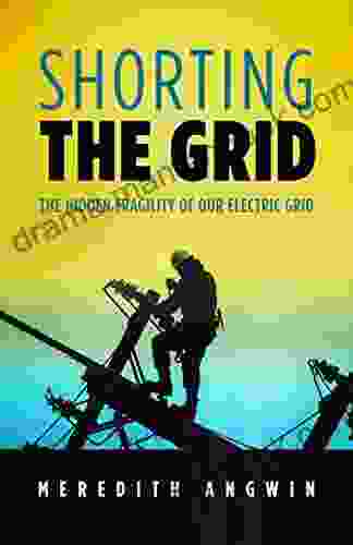 Shorting The Grid: The Hidden Fragility Of Our Electric Grid