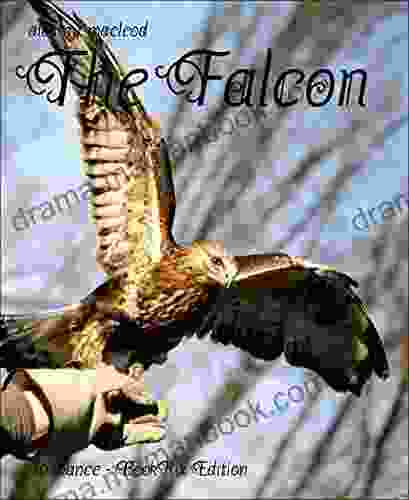 The Falcon Terry O Reilly